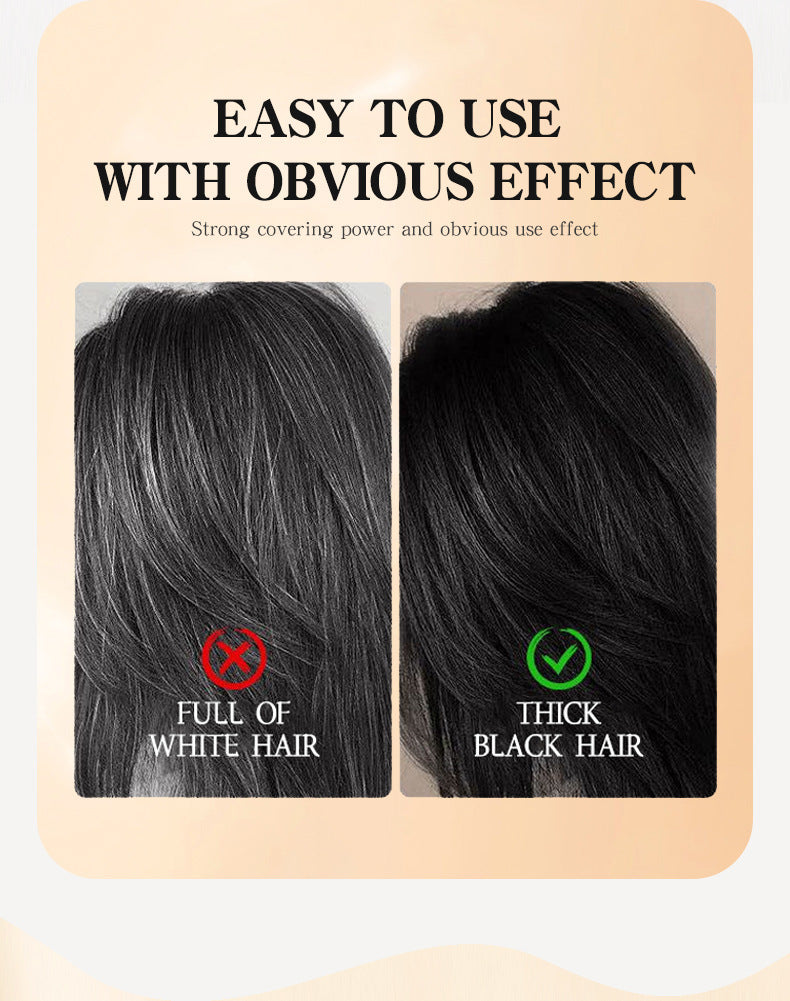 Beauty Hair Stick for Covering Gray Hair, Non-Fading Temporary Hair Dye